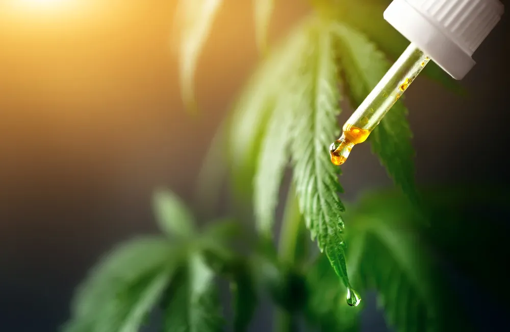 tropical-health-belize-cannabis-products